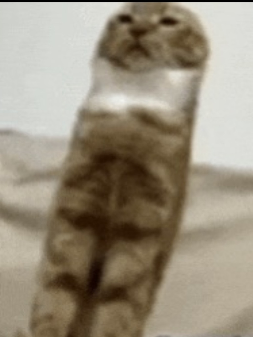 Meet your Posher, Cloud Ie